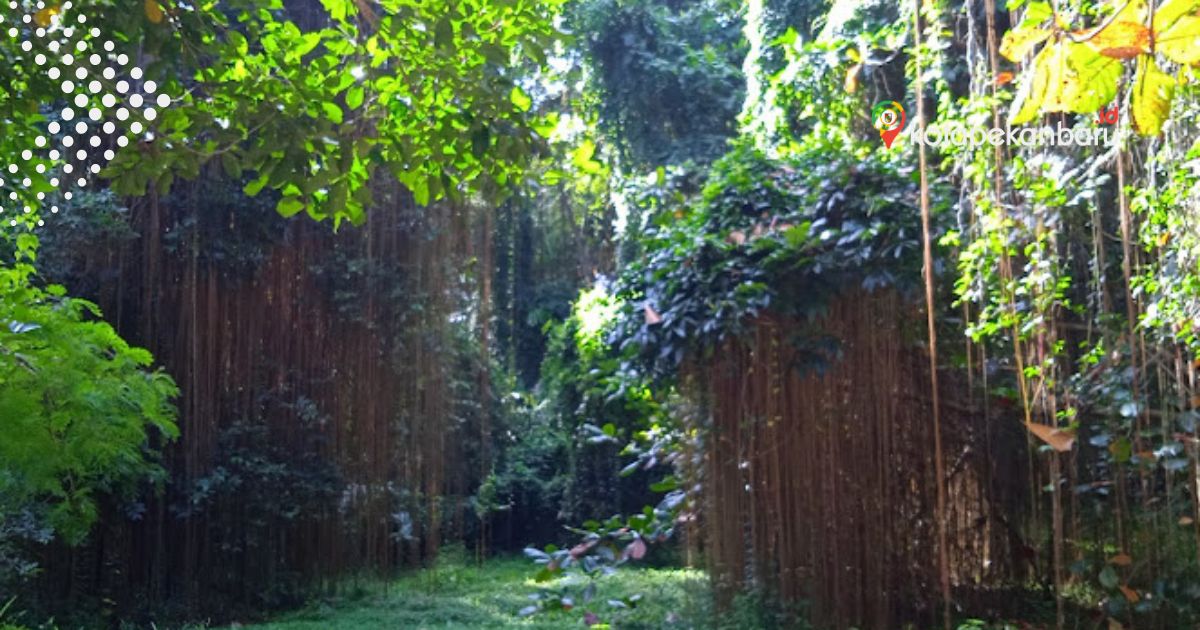 Hutan Kota Pekanbaru