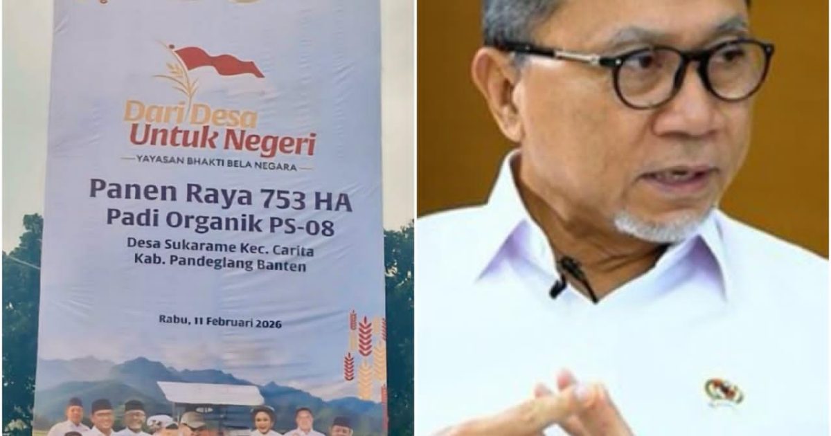 Menteri Koordinator Bidang Pangan Zulkifli Hasan (Zulhas) dijadwalkan menghadiri sekaligus memimpin Panen Raya Padi Organik PS-08 seluas ±753 hektare di Desa Sukarame, Kecamatan Carita, Kabupaten Pandeglang, Banten,(photo/ist)