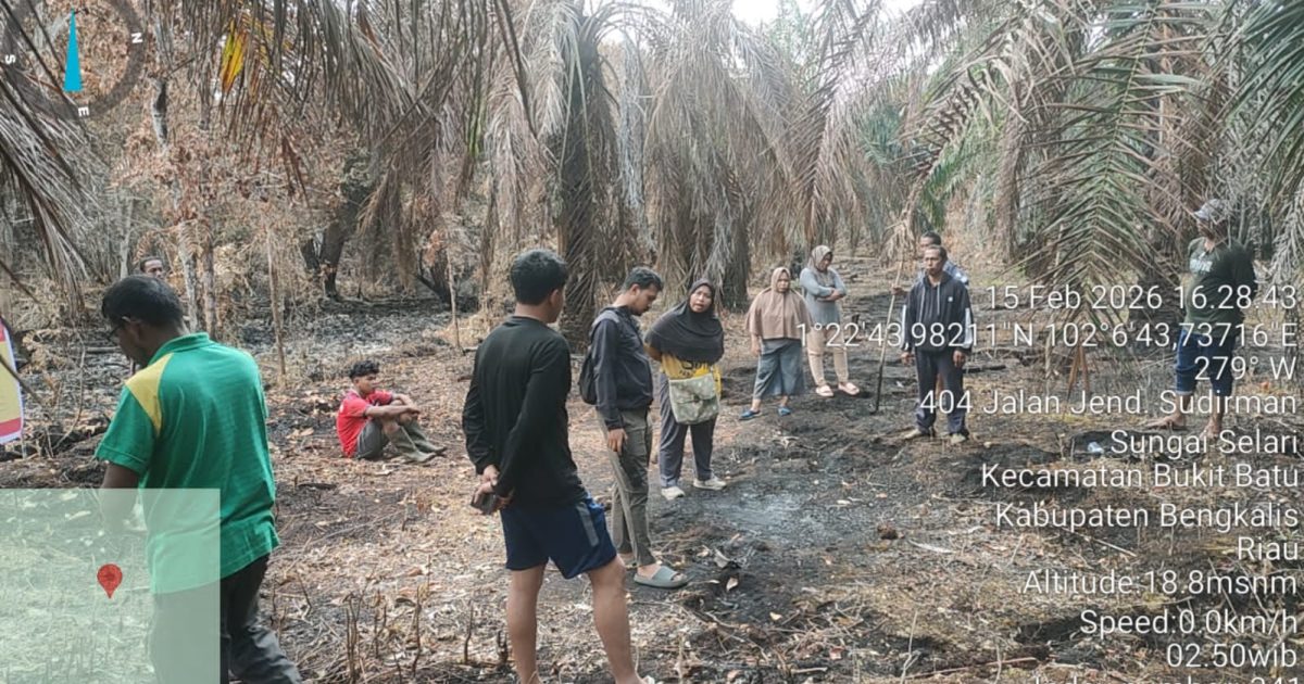 Kebakaran terjadi di lahan berjenis tanah gambut dengan luas terbakar diperkirakan mencapai ±5 hektare (photo/ist)