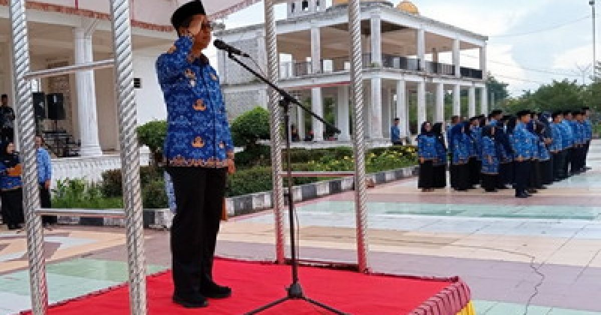 Wakil Bupati Rokan Hilir Jhony Charles, BBA, MBA. (Poto/ist).